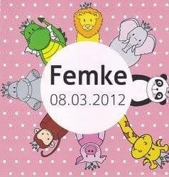 Femke, Verzamelen, Ophalen of Verzenden, 2000 tot heden, Geboortekaartje
