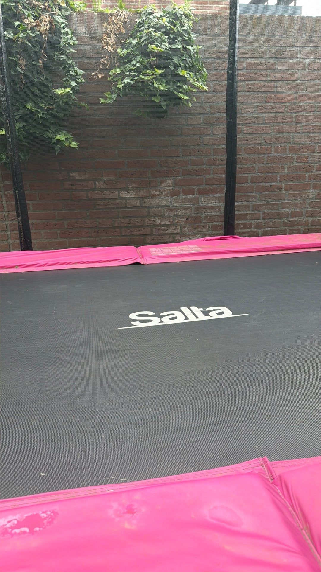 Salta trampoline met veiligheidsnet, Kinderen en Baby's, Speelgoed | Buiten | Trampolines, Ophalen of Verzenden, Zo goed als nieuw