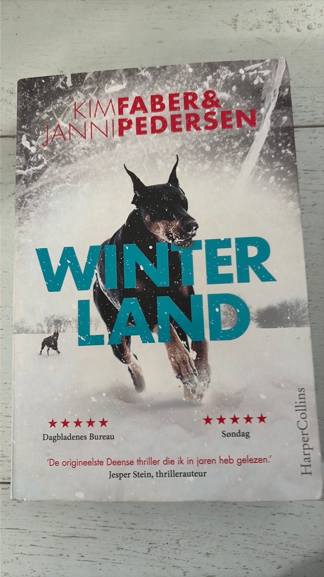 Kim Faber - Winterland, Ophalen of Verzenden, Zo goed als nieuw, Kim Faber; Janni Pedersen