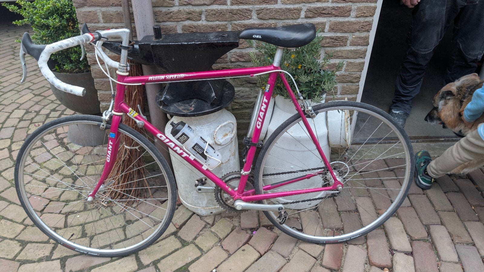 Ruilen Giant Peloton Superlite Racefiets - Roze ps portal, Fietsen en Brommers, Fietsen | Racefietsen, Ophalen, Gebruikt, Aluminium