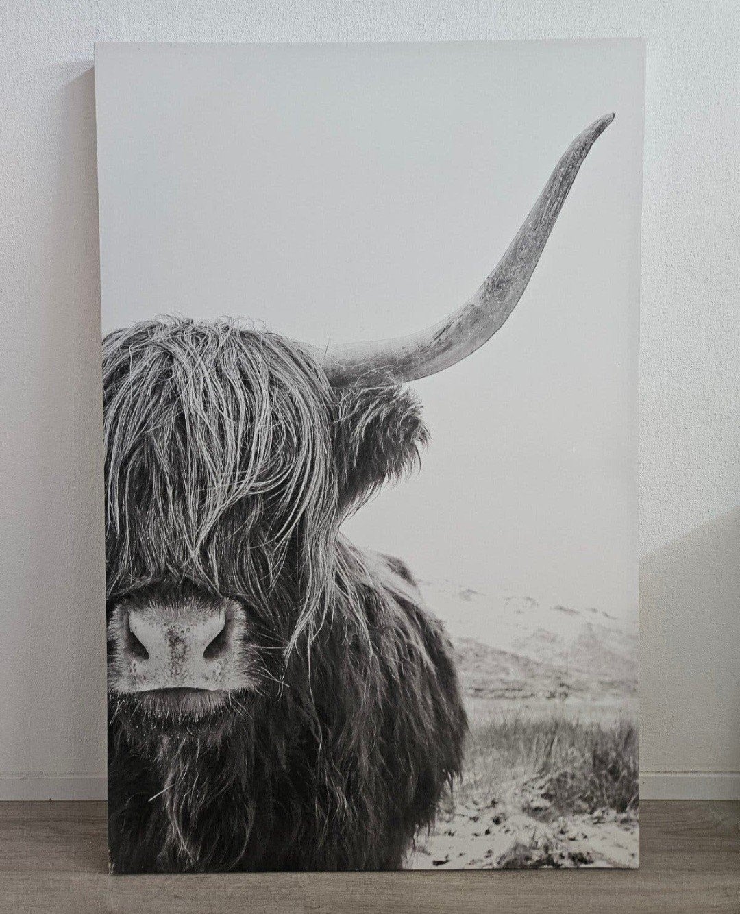 Schilderij Schotse Hooglander zwart-wit, Huis en Inrichting, Woonaccessoires | Schilderijen, Tekeningen en Foto's, Ophalen of Verzenden