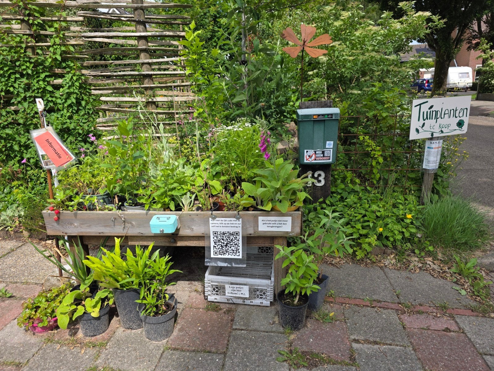 Tuinplanten biologisch/gifvrij - weer open!, Ophalen, Overige soorten, Volle zon