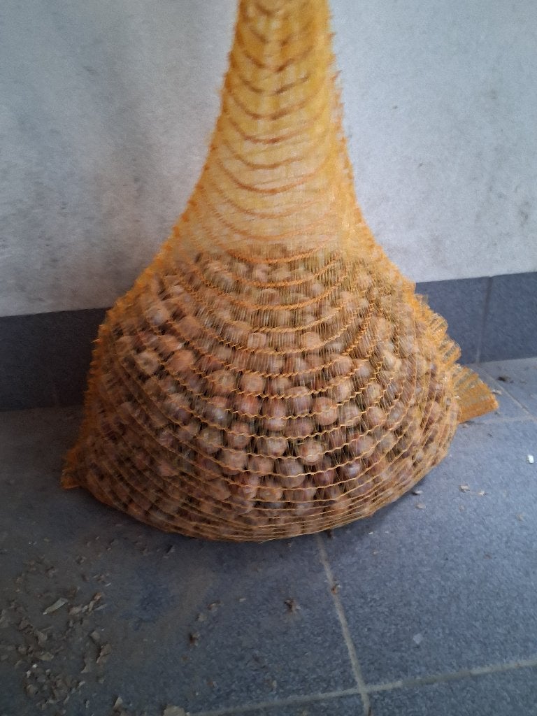 11,7 kilo eikels, Ophalen, Vee