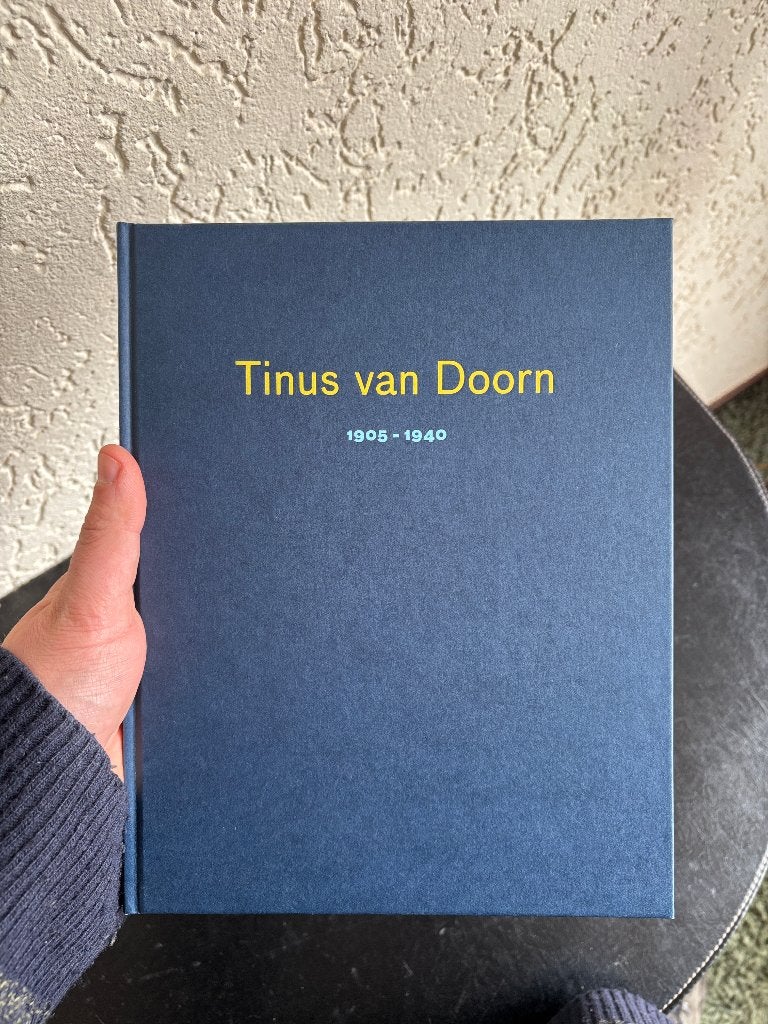 Tinus van Doorn, kunstenaar van het verloren paradijs - 2005, Gelezen, Ophalen of Verzenden, Tinus van Doorn, Schilder- en Tekenkunst