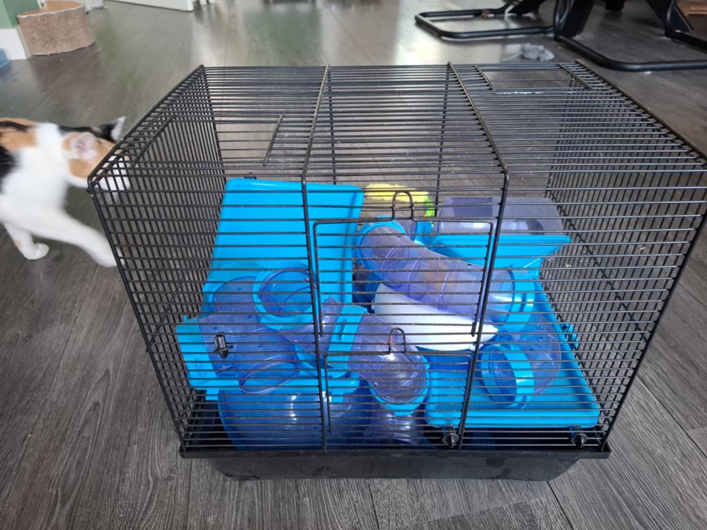 Hamsterkooi met buizen, molentje, Dieren en Toebehoren, Kooi, Minder dan 75 cm, Hamster, Ophalen