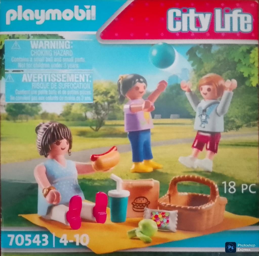 City Life Picknick In Het Park 70543, Kinderen en Baby's, Speelgoed | Playmobil, Ophalen of Verzenden, Gebruikt, Complete set