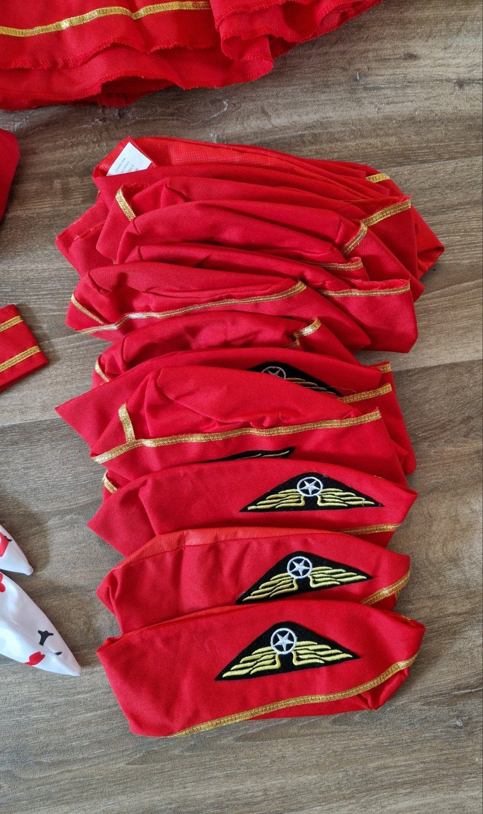 Stewardess kostuum set (rok, sjaal, pet), Ophalen, Nieuw, Maat 38/40 (M), Carnaval