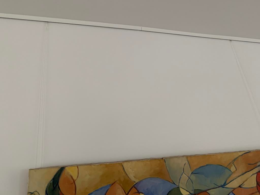 Ophang systeem voor schilderijen. Ruim 5 meter, Ophalen, Zo goed als nieuw