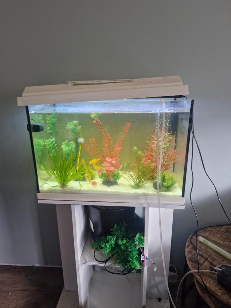 Aquarium metv vissen en nieuwe pomp en beluchter., Ophalen of Verzenden