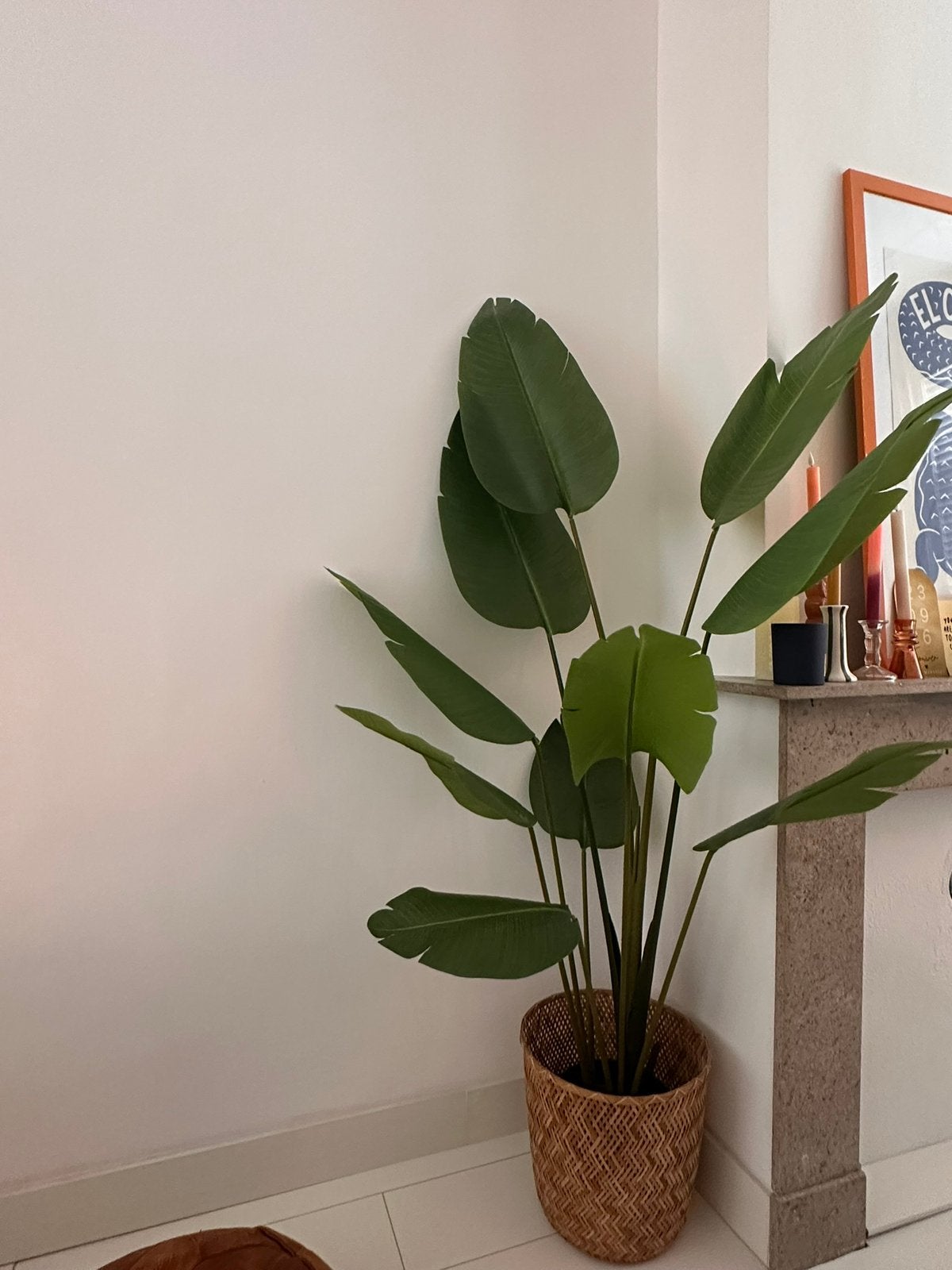 Kunstplant Fejka IKEA, Ophalen, Halfschaduw, Minder dan 100 cm