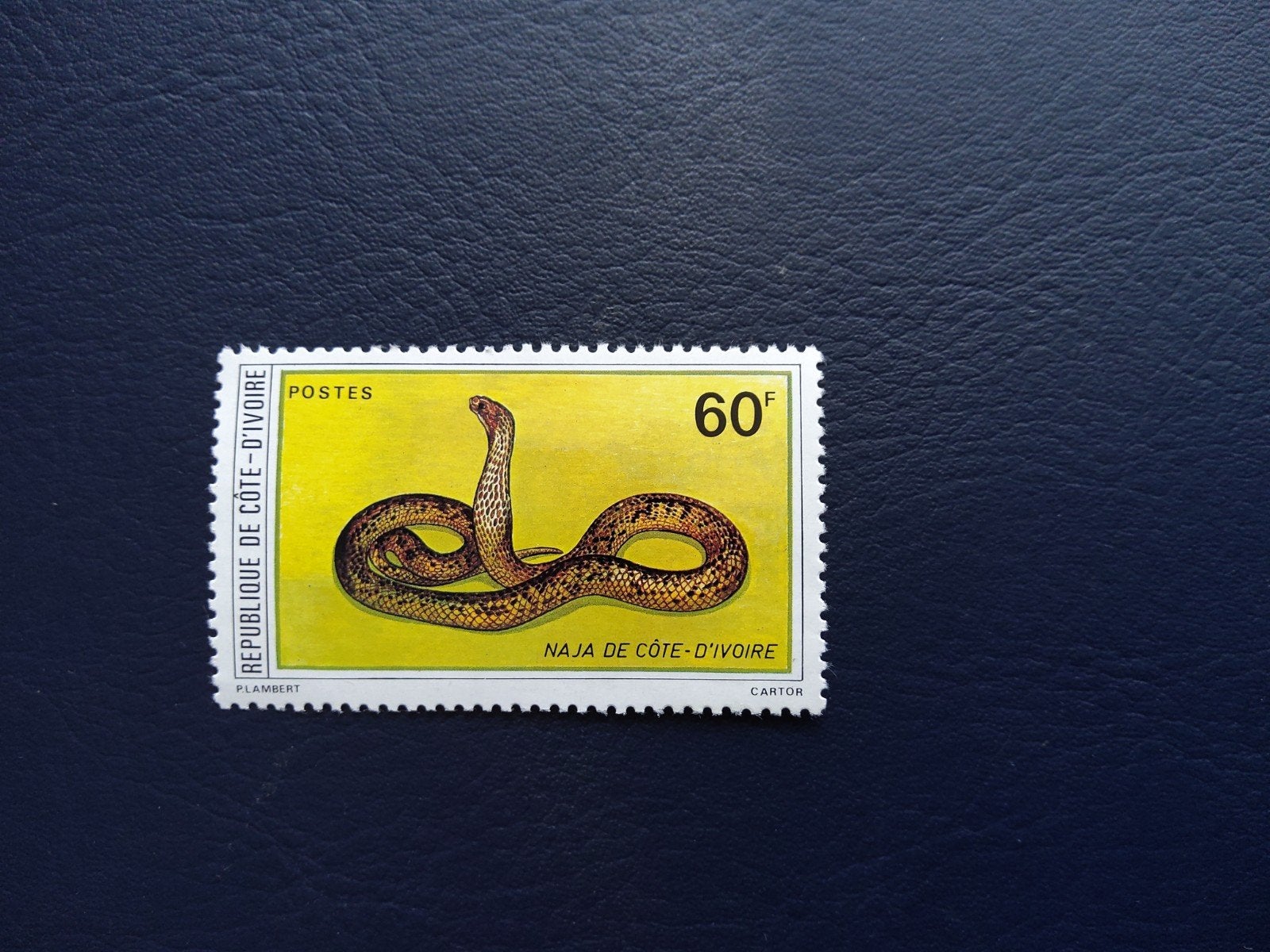 Postzegel Ivoorkust - Naja de Côte-d'Ivoire - 60F, Ophalen of Verzenden, Overige landen, Postfris