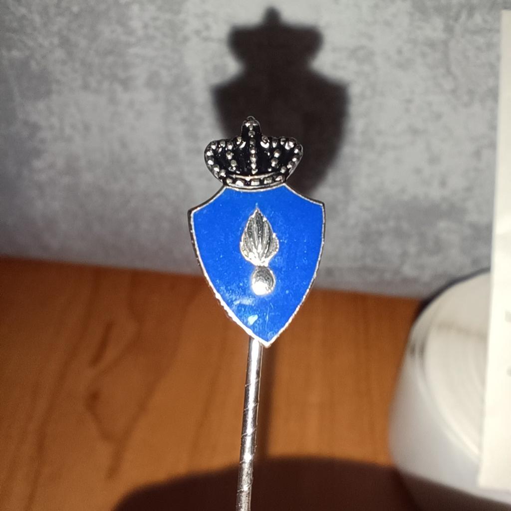 Vintage Speldje - Blauw Schild met Kroon, Verzamelen, Ophalen of Verzenden, Zo goed als nieuw