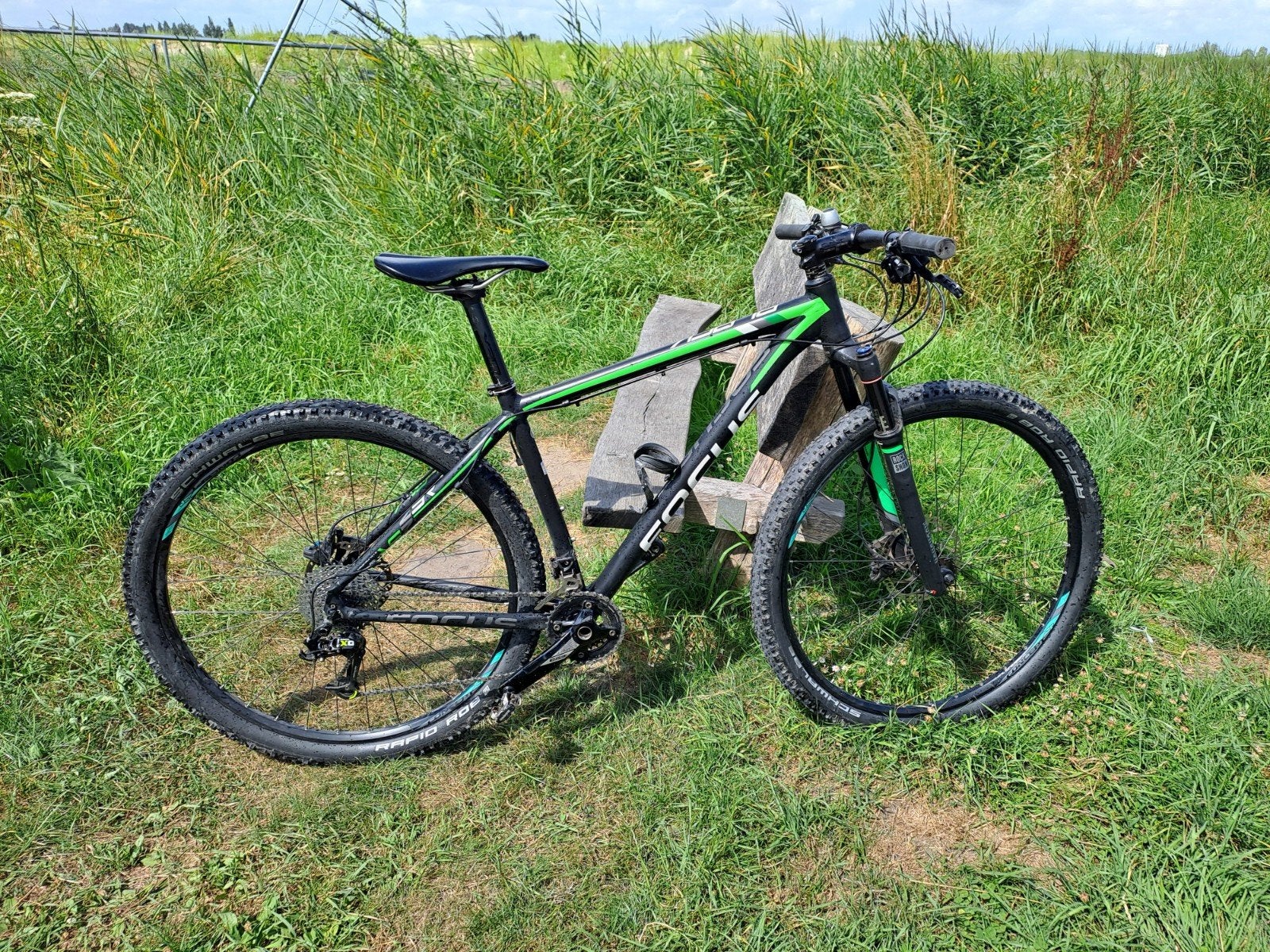 Mountainbike Focus Black Forest 29 Inch   maat M, Gebruikt, 45 tot 49 cm, Schijfrem, Ophalen