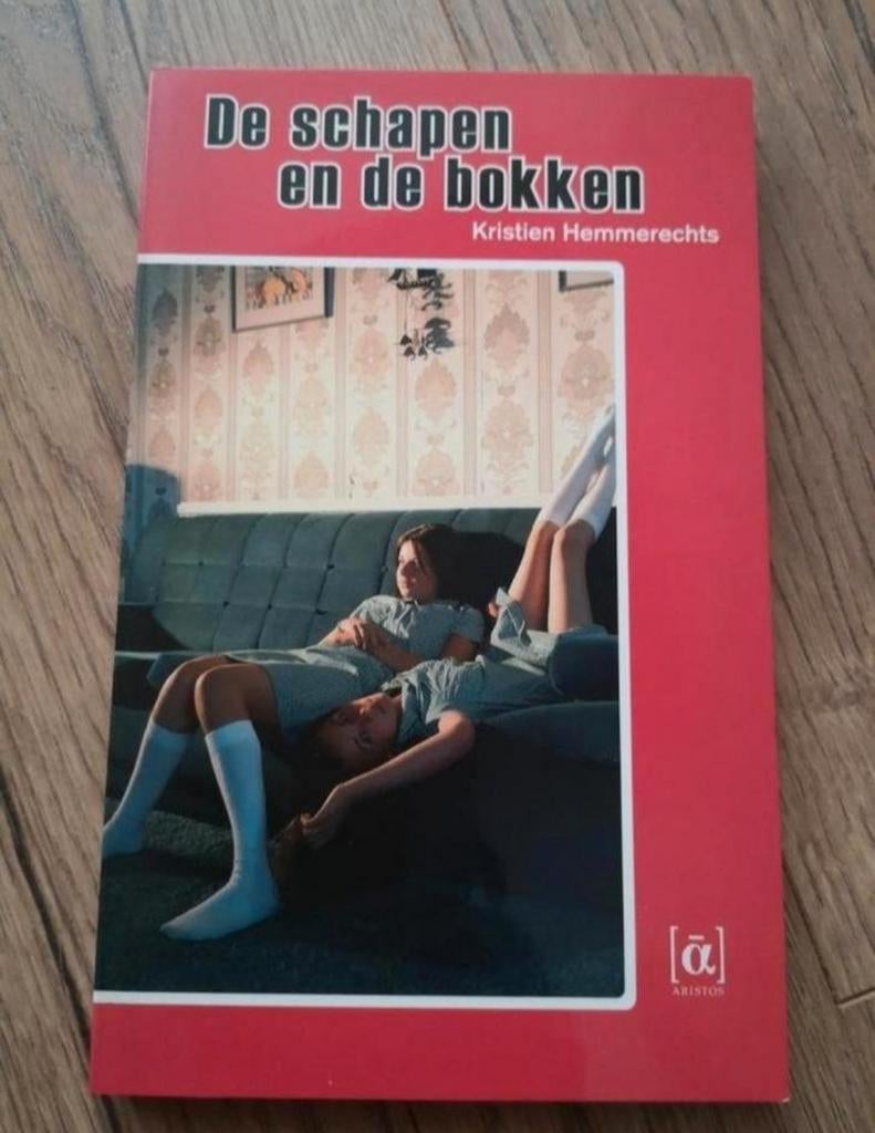 De schapen en de bokken Kristien Hemmerechts, Ophalen of Verzenden, Zo goed als nieuw