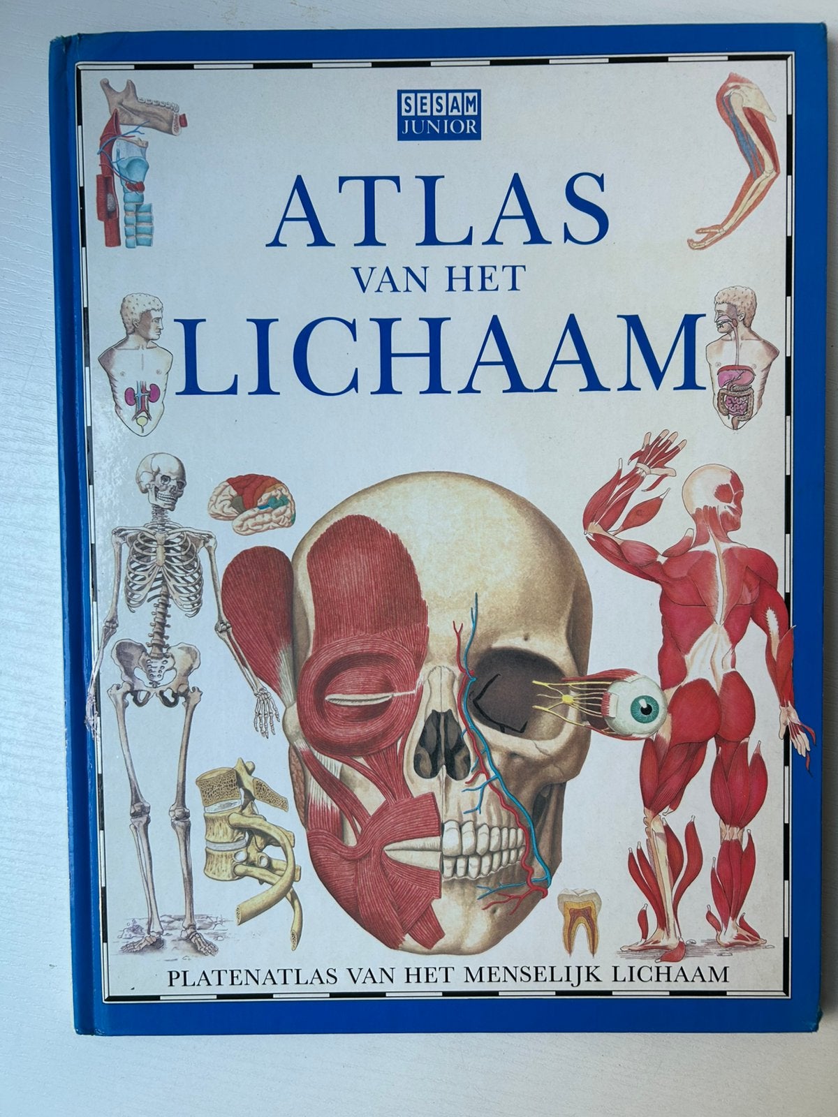 Atlas van het lichaam Sesam Junior, Boeken, Ophalen of Verzenden, Gelezen, K.J. Parker, Non-fictie