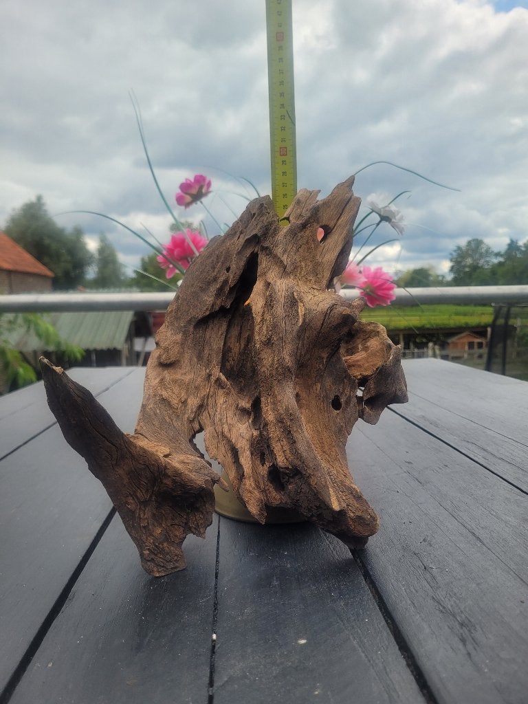 Kienhout driftwood mangrove hout aquarium terrarium, Dieren en Toebehoren, Ophalen of Verzenden, Zo goed als nieuw, Plant(en), Steen of Hout