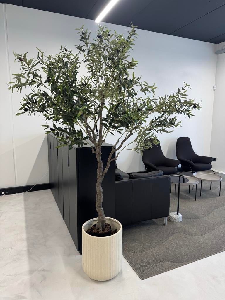 Grote kunst olijfboom met pot, Binnen, Groen, Kunstplant, Nieuw