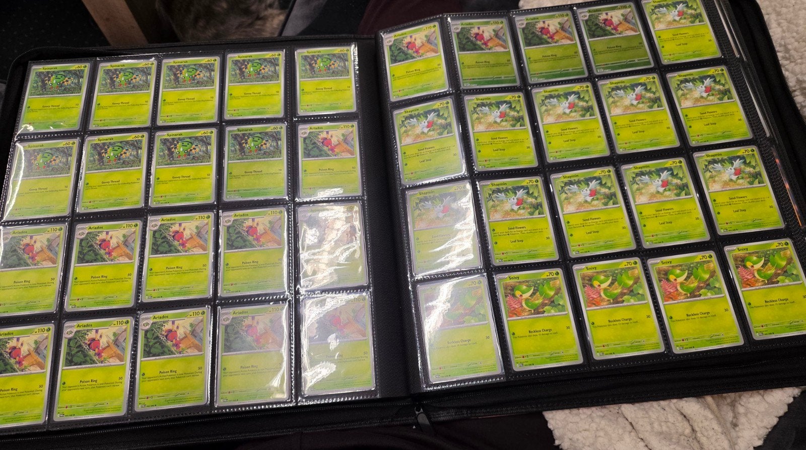 Pokemon perfect order kaarten, Ophalen of Verzenden, Zo goed als nieuw, Meerdere kaarten