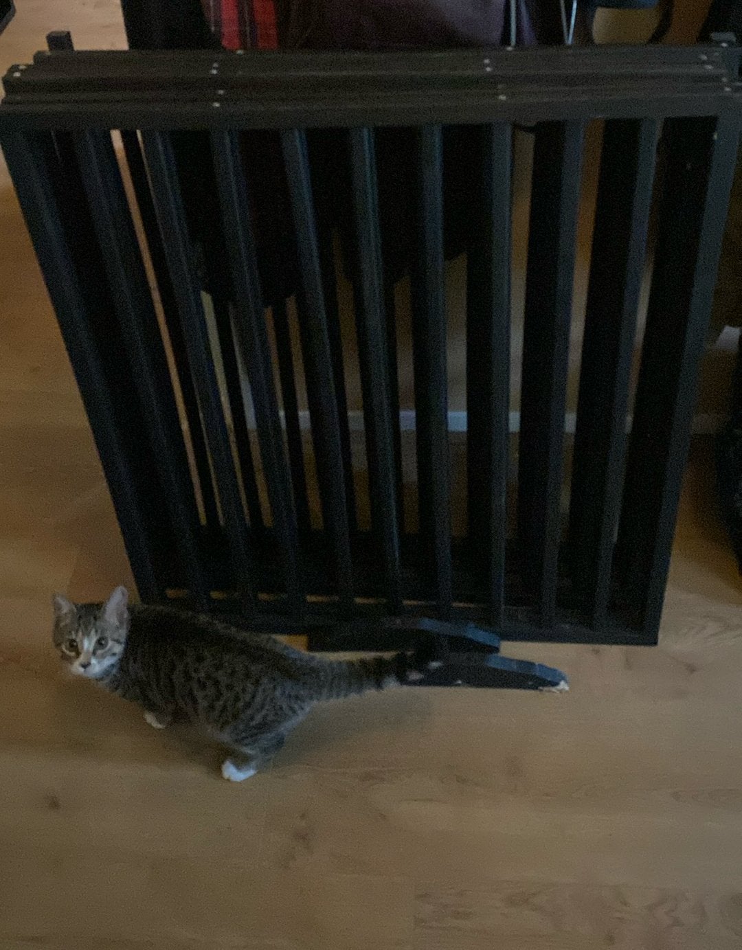Puppy hek / ren hout., Ophalen, Gebruikt