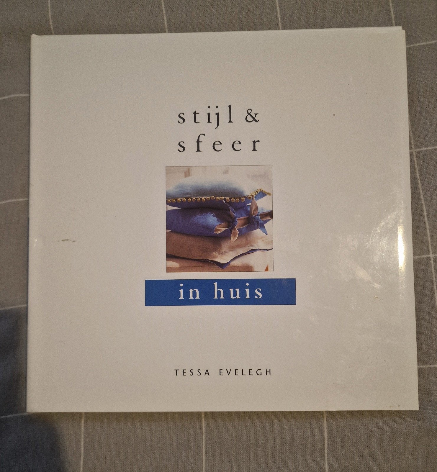 T. Evelegh - In huis, Boeken, Ophalen of Verzenden, Zo goed als nieuw, T. Evelegh