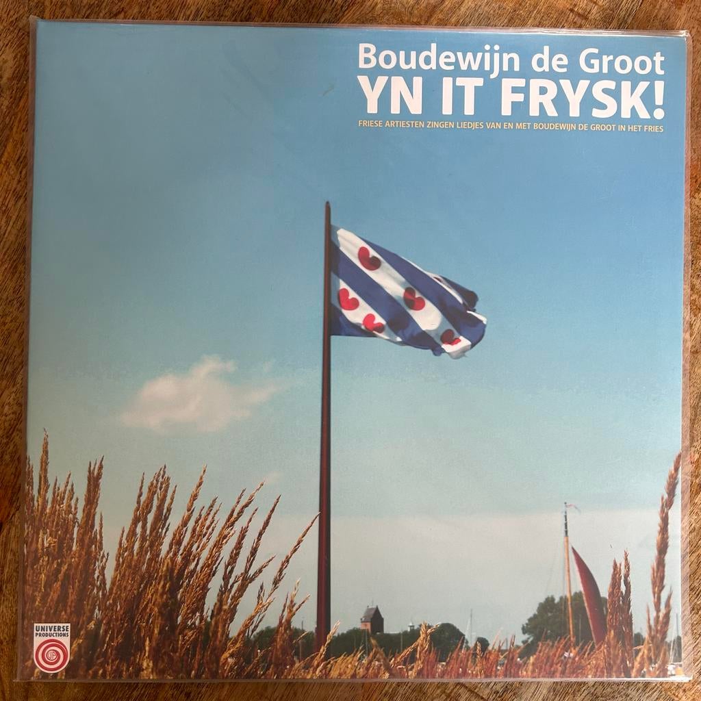 2LP Boudewijn de Groot - YN IT FRYSK! (Limited Edition LP), Cd's en Dvd's, Verzenden, 2020 tot heden, Dubbel-LP, 12 inch