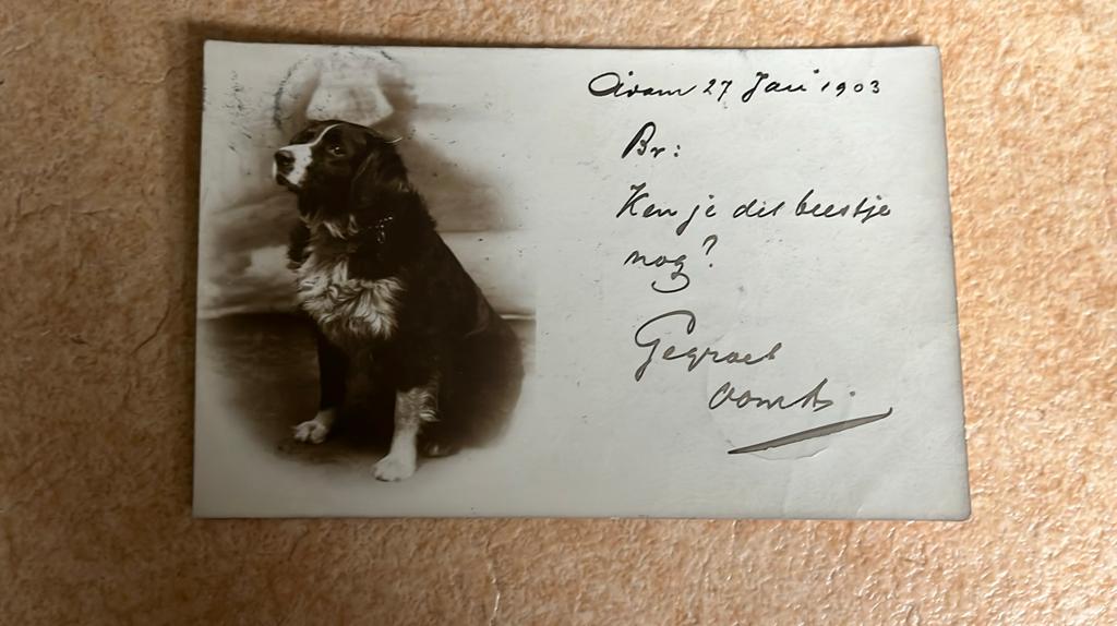 Border collie 1903, Ophalen of Verzenden, Voor 1920, Gelopen, Overige thema's