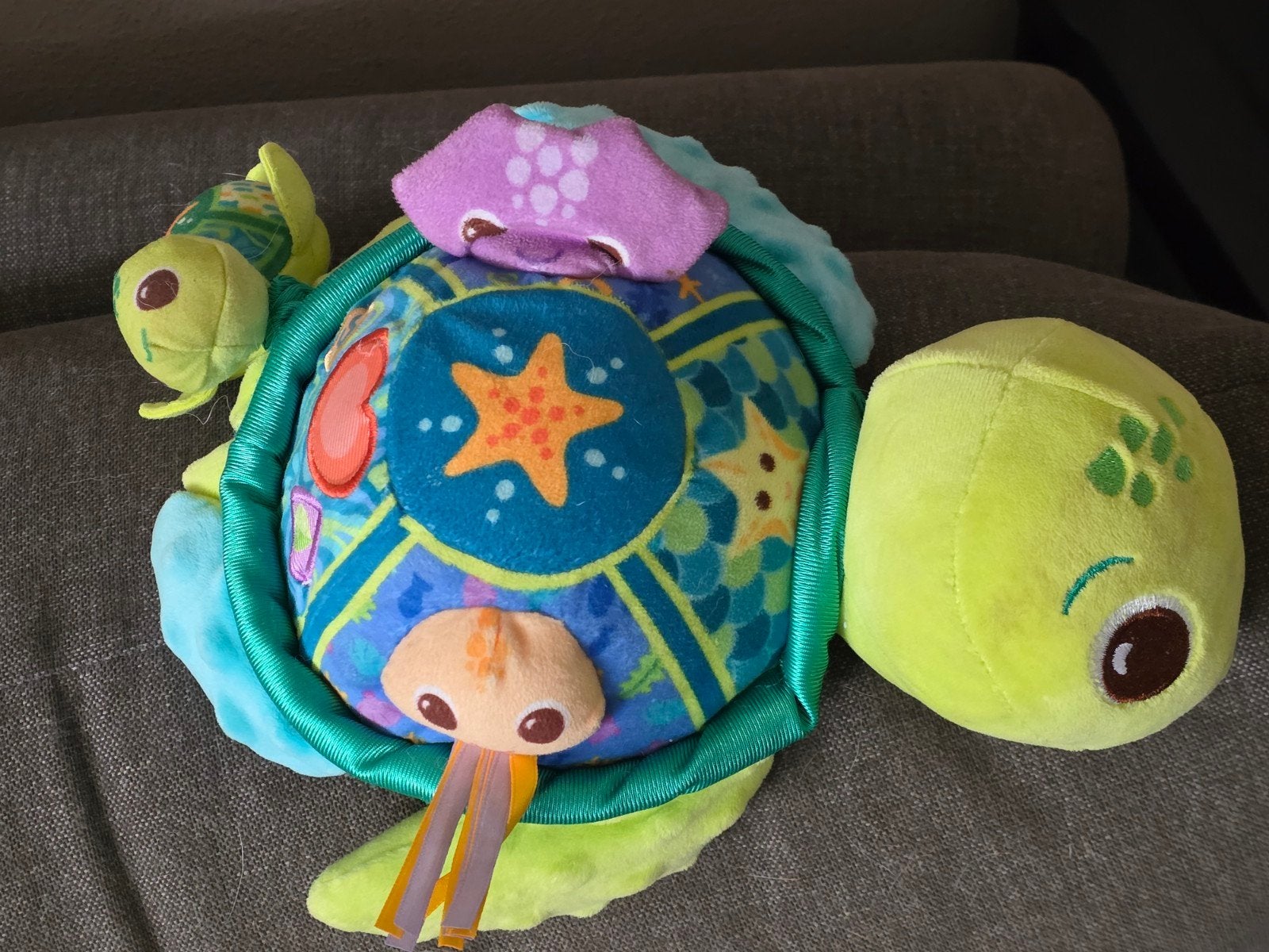VTech Schildpad met Geluiden en Activiteiten, Ophalen of Verzenden, Gebruikt, Overige typen, Met geluid