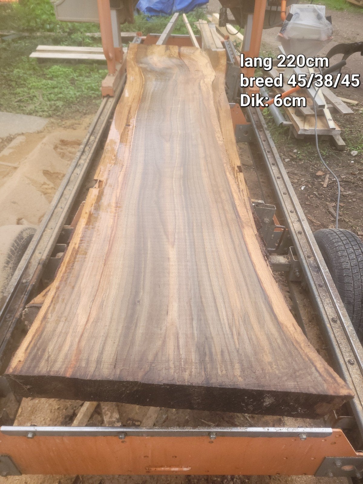 schaaldeel boomplank wandplank NOTENHOUT BLEU STRAIN, Ophalen of Verzenden, Nieuw, Minder dan 180 cm, Palen