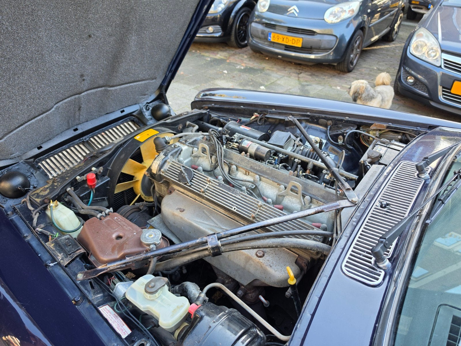 Jaguar XJ 4.2 III - LWB - Oldtimer - MRB Vrij! - Mooie Auto!, foto 12