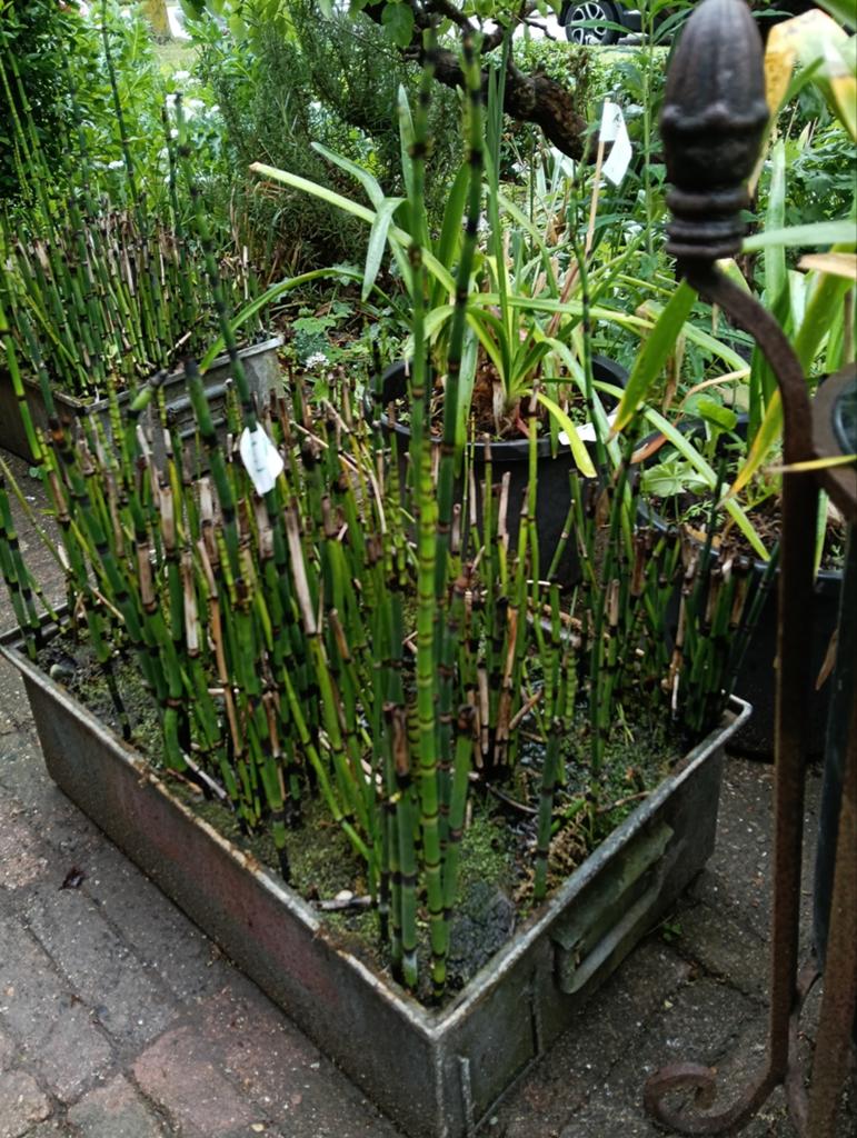 Zinken bakken., Tuin en Terras, Ophalen of Verzenden