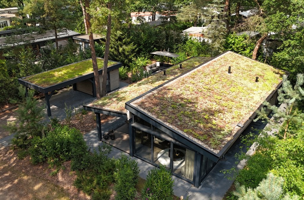 Luxe 8-persoons chalet: rust, ruimte & comfort in Hardenberg, Open haard, In bos, Recreatiepark