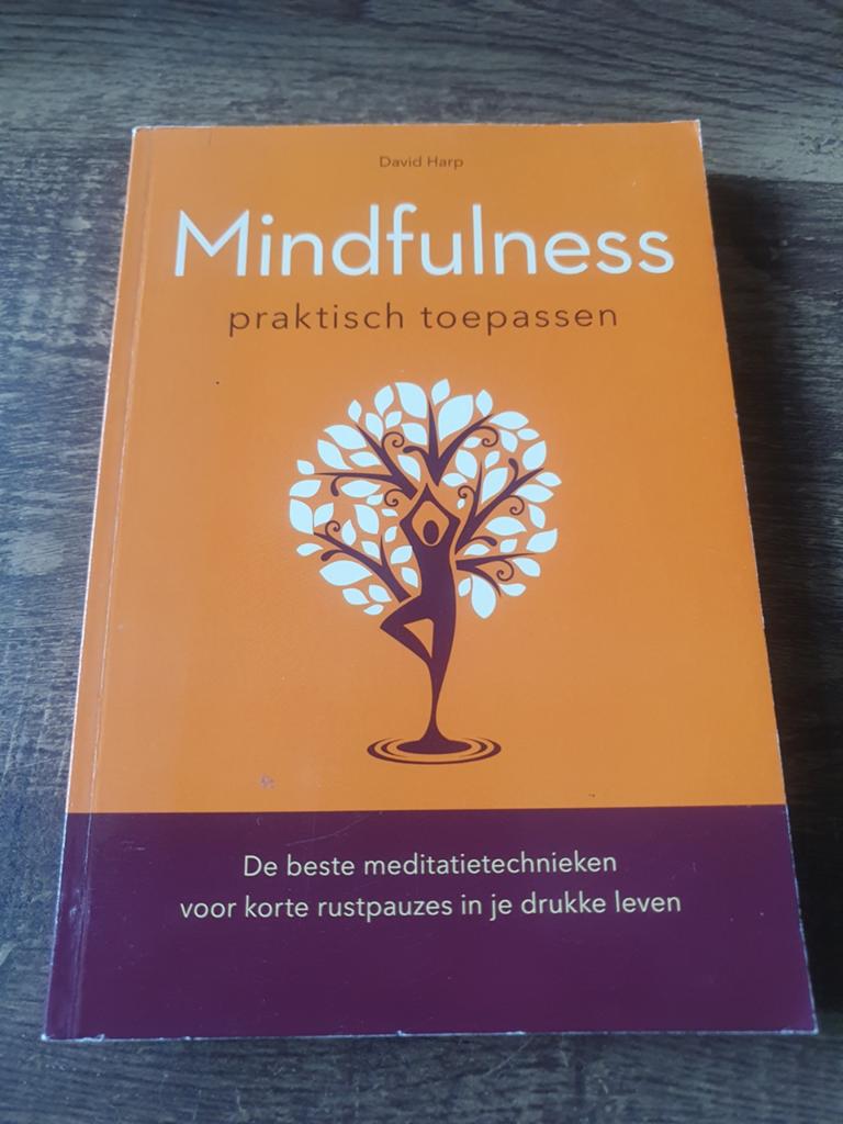 Mindfulness praktisch toepassen - David Harp, Meditatie of Yoga, David Harp, Ophalen of Verzenden, Zo goed als nieuw