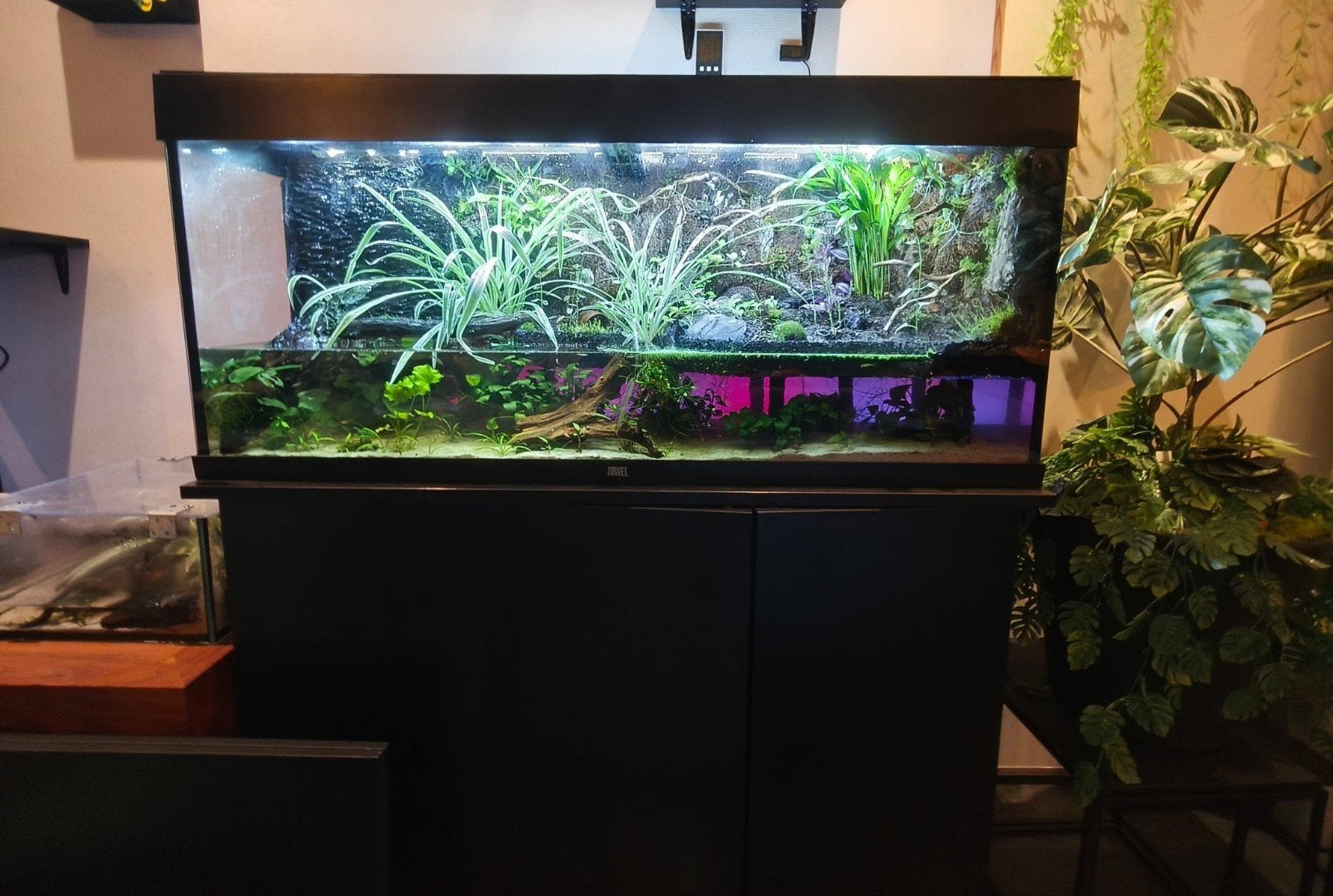 Zelf verbouwde aquarium naar Paludarium, Ophalen, Overige typen, Inclusief toebehoren, Zo goed als nieuw