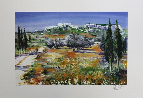 Ella Fort Kleur Zeefdruk " In de Camarque " Ges Gen, Antiek en Kunst, Kunst | Litho's en Zeefdrukken, Gesigneerd, Ophalen of Verzenden