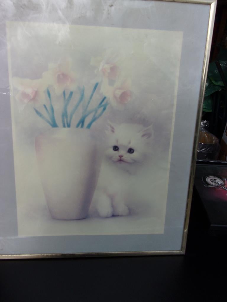 poes tekening schilderij, Ophalen, Minder dan 50 cm, Gebruikt, Schilderij