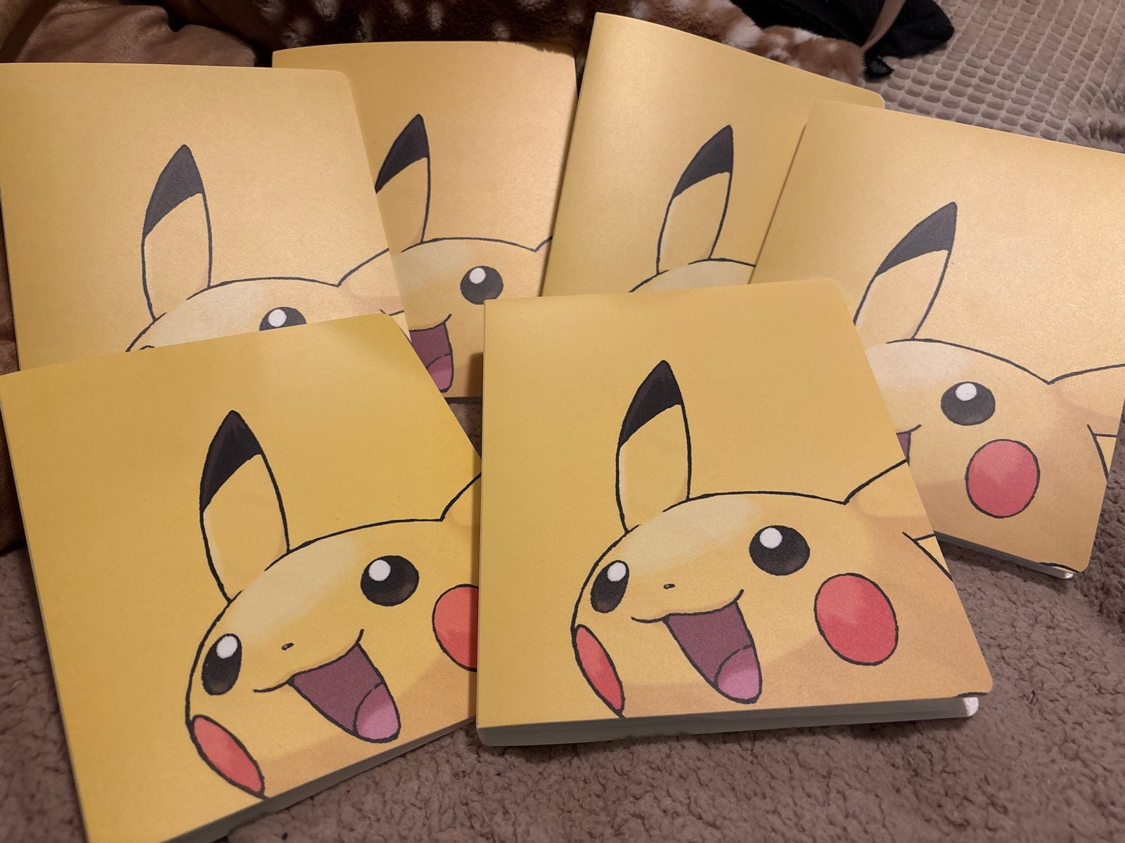 6x Pikachu Kaartenmapjes / Verzamelmappen, Ophalen of Verzenden, Gebruikt, Overige typen