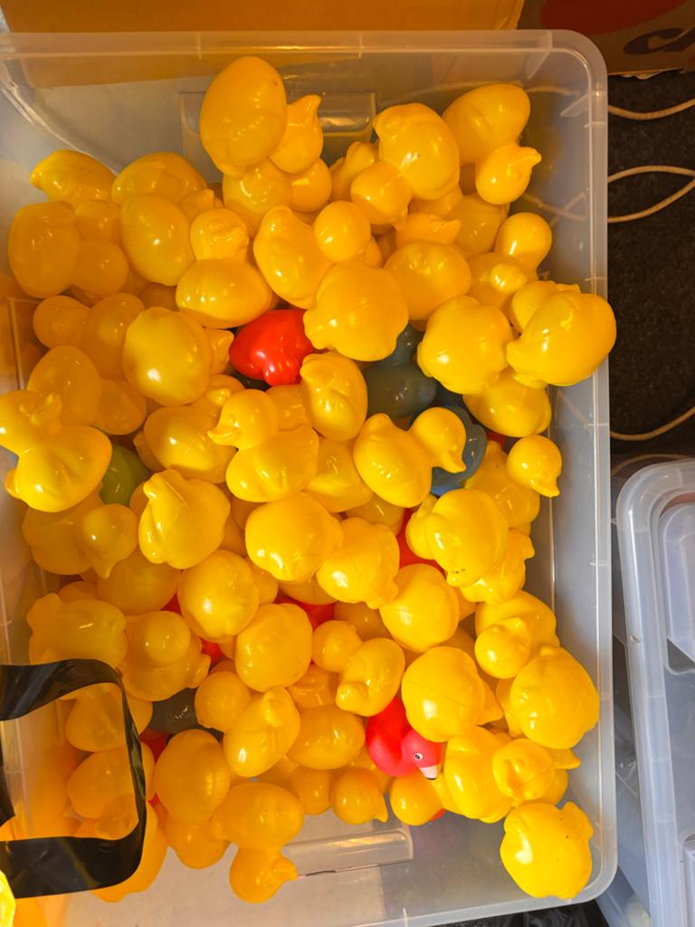 100 de badeendjes plus voor themafeest, Ophalen, Gebruikt, Feestartikel, Overige