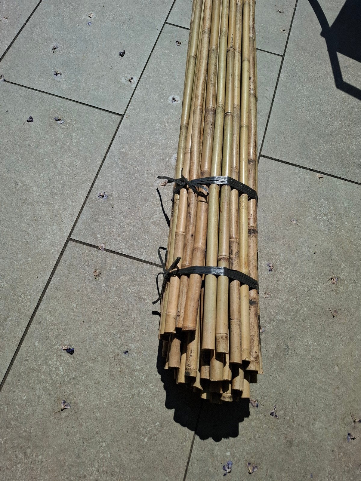 bamboe stokken. 270 cm., Ophalen, Nieuw, IJzer, Tuinhek