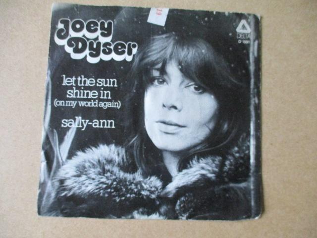 s1600 joey dyser - let the sun shine in, Ophalen, Gebruikt, Overige genres