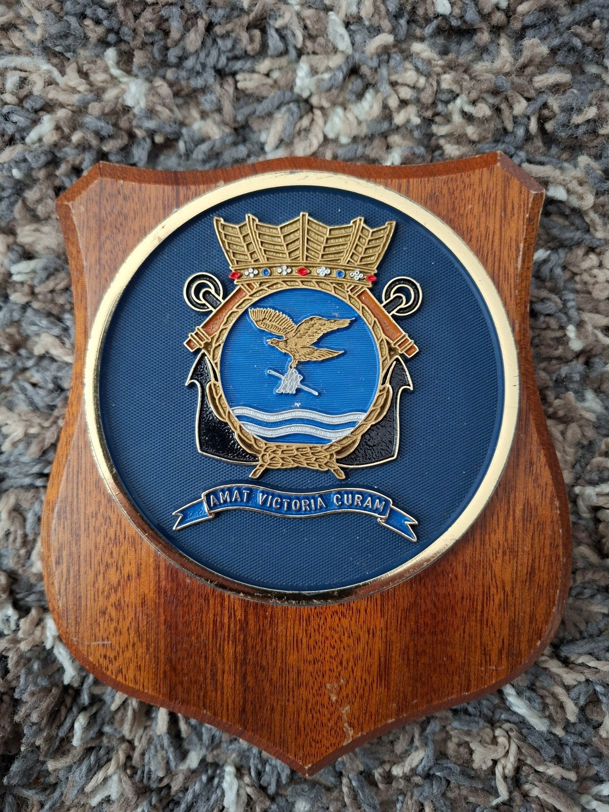 wapenschild - Amate Victoria Curam - 5SQN MLD, Ophalen of Verzenden, Luchtmacht, Nederland, Embleem of Badge