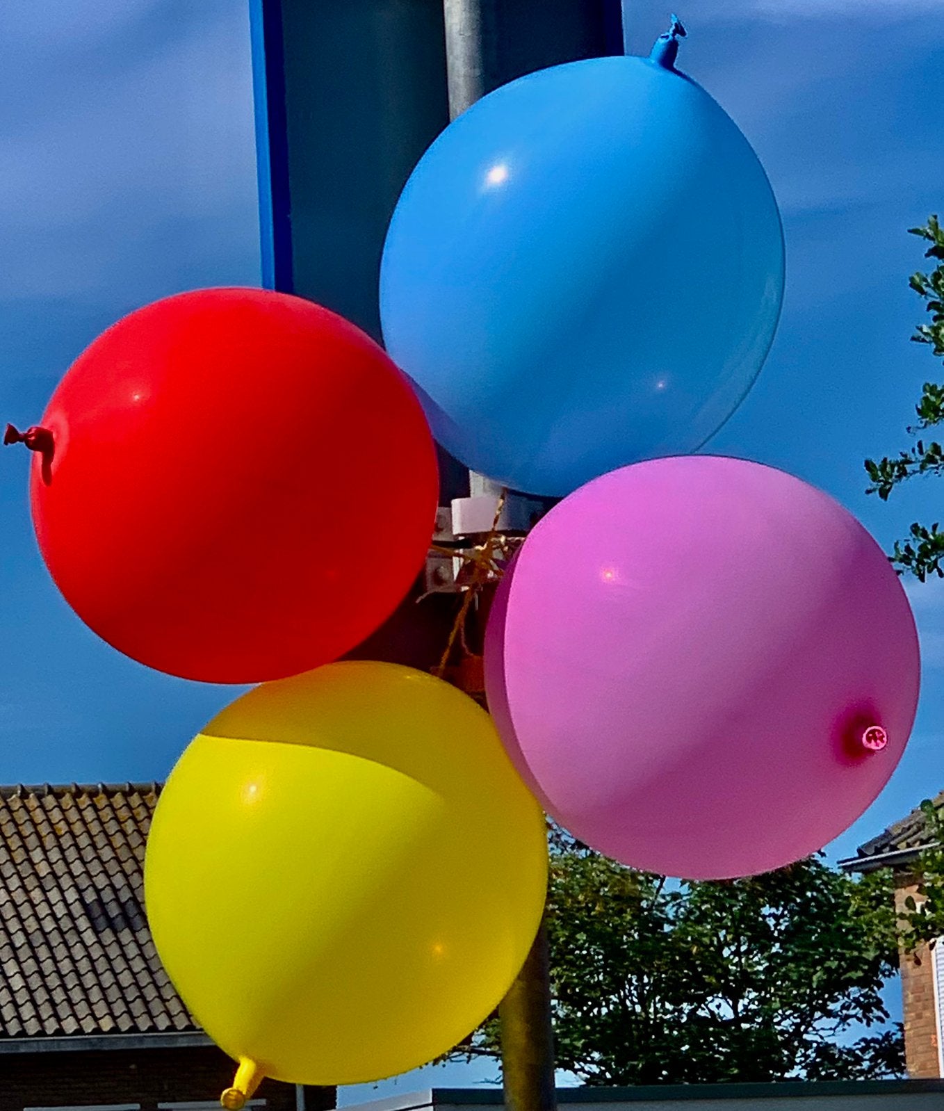 Ballonnen gezocht  (Walcheren, provincie Zeeland), Ophalen, Gebruikt, Versiering, Verjaardag
