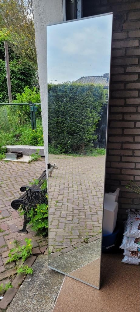 Ikea pax spiegel kastdeur. 50x 200, Ophalen, Rechthoekig, Minder dan 50 cm, Minder dan 100 cm
