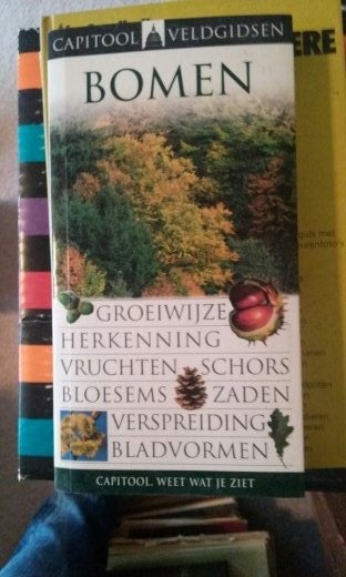 Boek - 184 - Bomen, Ophalen of Verzenden, Zo goed als nieuw