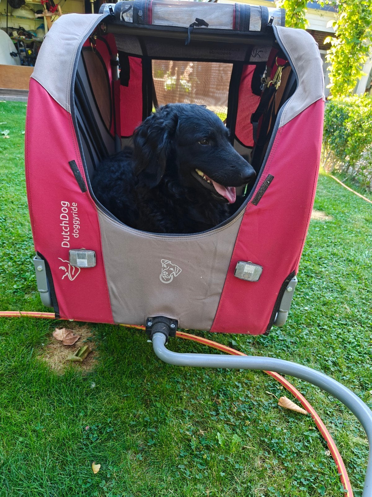 Hondenfietskar DutchDog Doggyride L met achterlichten, Ophalen, Gebruikt, 20 tot 40 kg, DutchDog