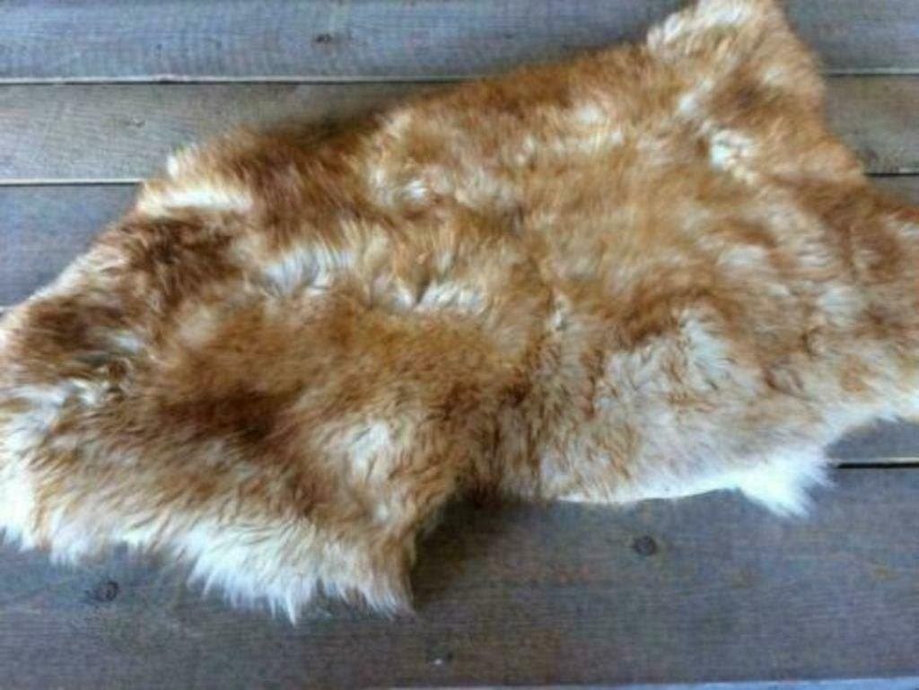 Grote nieuwe schapenvachten wit , gemêleerd en bruin schaap, 100 tot 150 cm, Zwart, Nieuw, Ophalen of Verzenden