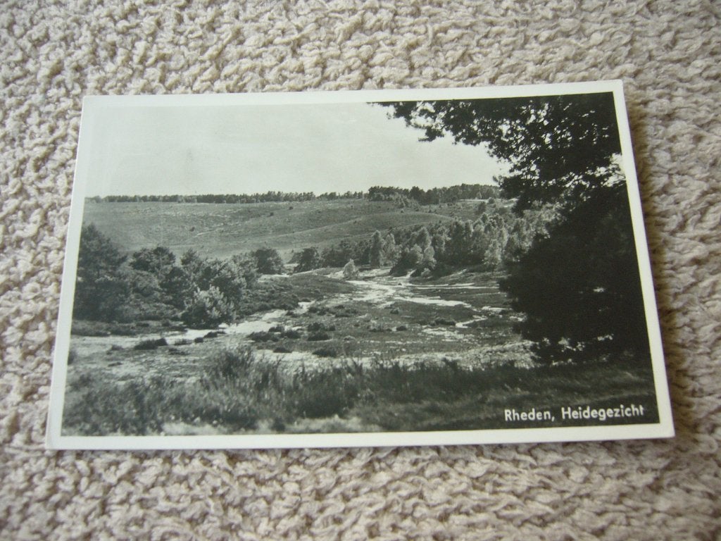 RHEDEN  =  HEIDEGEZICHT, Ophalen of Verzenden, 1940 tot 1960, Gelopen