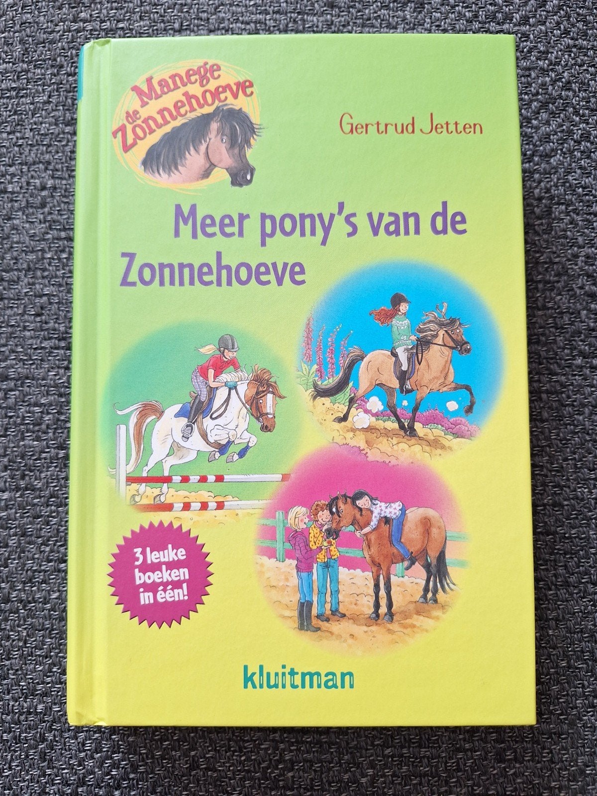 Meer pony's van de Zonnehoeve - Gertrud Jetten, Ophalen of Verzenden, Gertrud Jetten, Fictie algemeen
