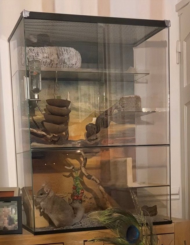 grote knaagdieren kooi + veel spullen, Ophalen, Kooi, Chinchilla, 90 cm of meer