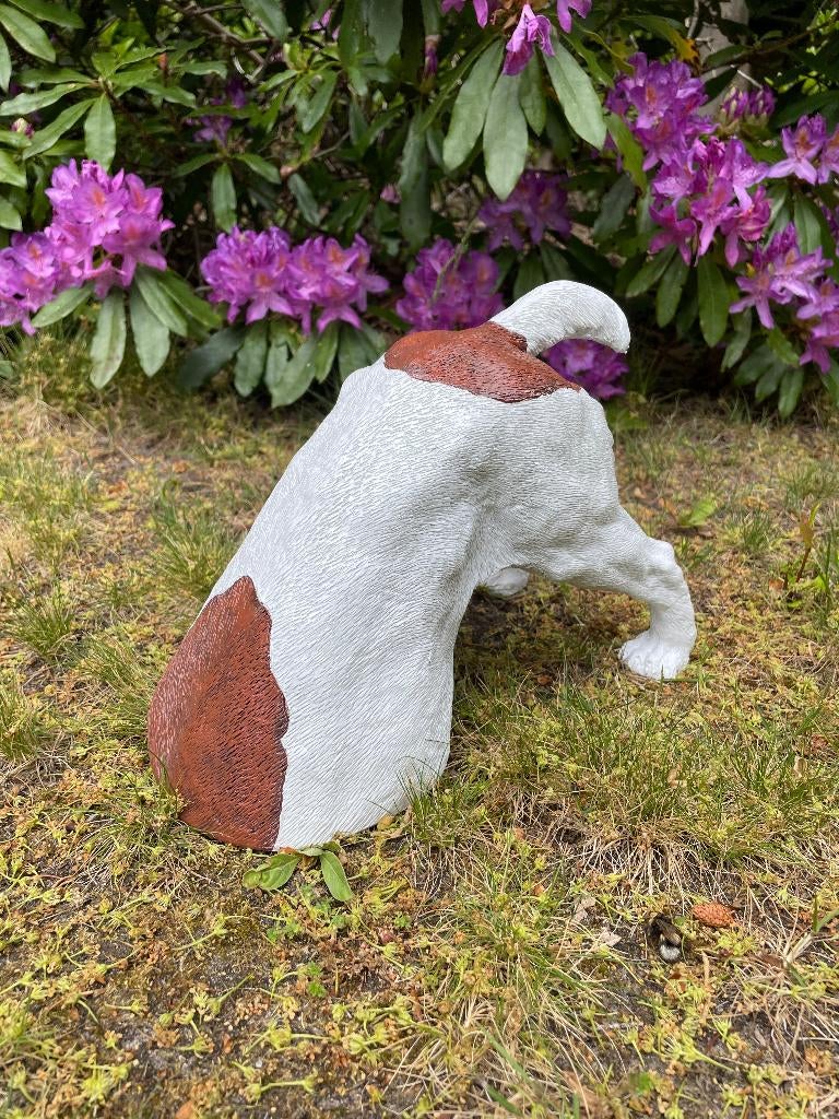 Beeld Jack Russel hond wit/bruin tuin, gazon, boerderij 30cm, Ophalen of Verzenden, Nieuw, Kunststof, Dierenbeeld