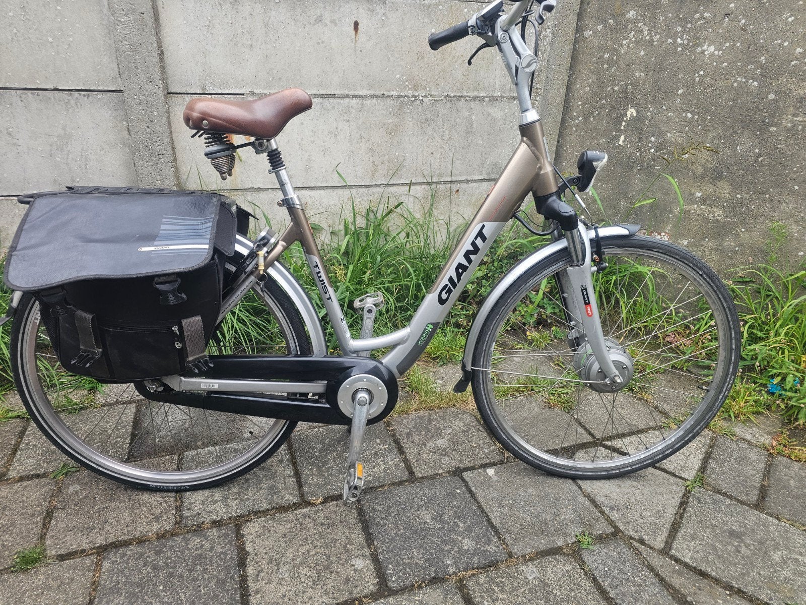 Giant Twist go double Elektrische Fiets, Fietsen en Brommers, Elektrische fietsen, Zo goed als nieuw, Giant, 51 tot 55 cm, 30 tot 50 km per accu